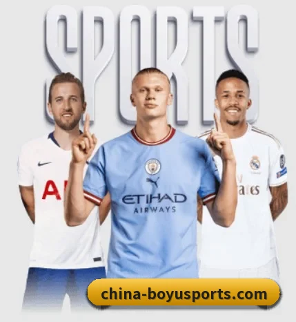 五大服务分区,信息按项目分类 - 多运动项目内容板块（BOYUSPORTS）